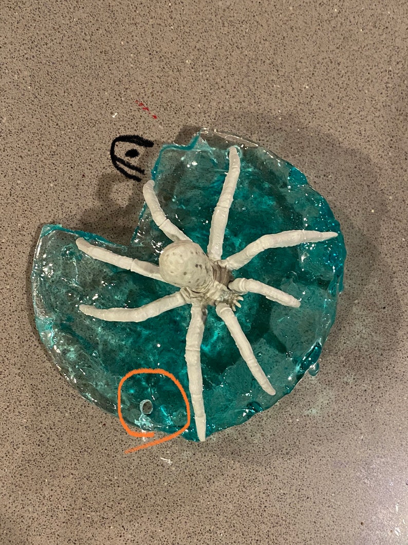May include: A translucent blue, circular resin piece with a textured surface and a small hole near the edge. A white, multi-legged spider-like figure is embedded in the center. There is a small black mark and an orange circle drawn on the surface.