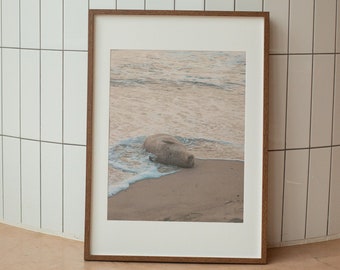 Seal Beach Fine Art Giclee Print, California Ocean Seal Pup Poster, Coastal Beach Photography Print, Wildlife Wall Art, Seal Swimming Print