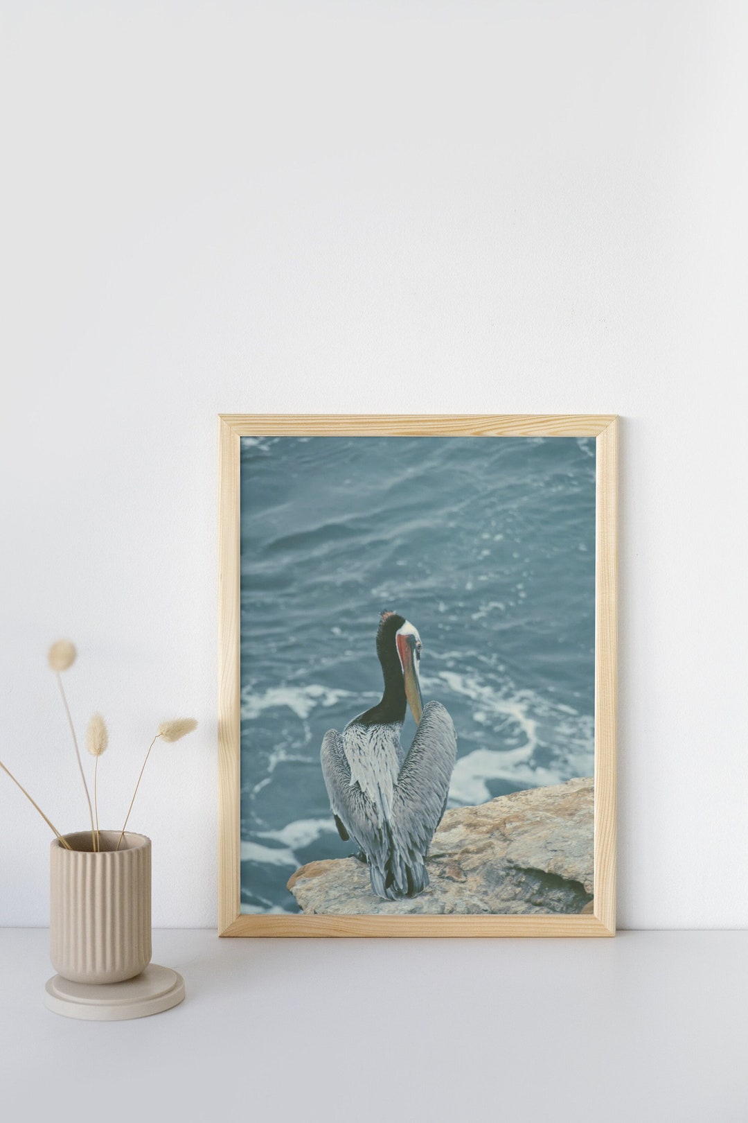 California Pelican Fine Art Giclee Print La Jolla San Diego Etsy
