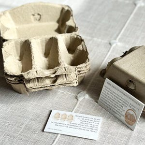 6 count egg cartons + Egg Handling Instructions for Farm Fresh Eggs or Backyard Chickens