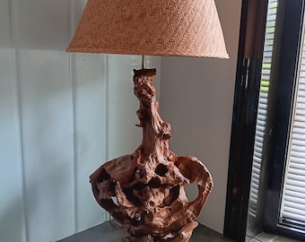 Gorgeous Driftwood Lamp