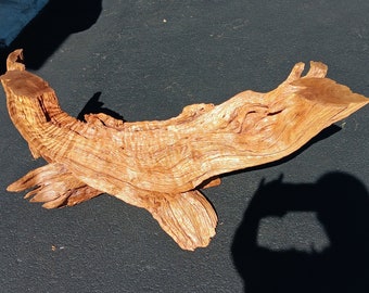 Oval Mahogany Root Driftwood Coffee Table