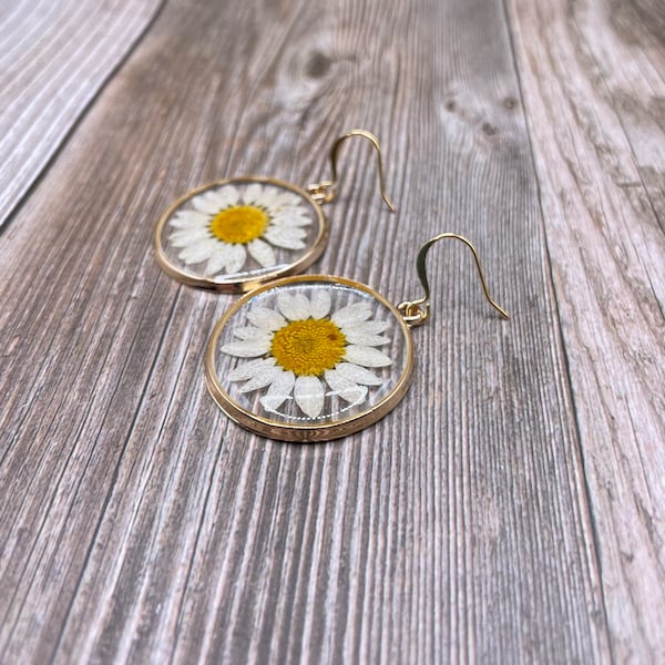 Pressed daisy earrings. Daisy dangle earrings. Pressed flower earrings.