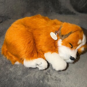 May include: A plush toy dog in a sleeping position with orange and white fur. The dog has a small black nose, closed eyes, and a white collar with a small, oval-shaped white tag attached to it. The fur appears soft and textured throughout.