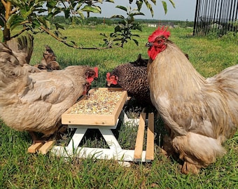 Mangiatoia da tavolo per picnic in cedro fatta a mano per polli: accessorio per pollaio da fattoria