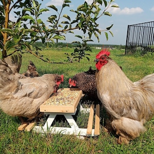Chicken Picnic Table for Feeding Chicken Feeder Farm Table Chicknic Table Feeder for Chicken Coop Accessories Gift for Chicken Lover Gift