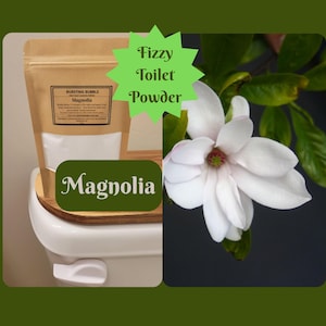 Polvere detergente frizzante per WC: ecologica, atossica, dal profumo leggero