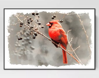 Watercolor Red Cardinal Art Print, Printable Red Cardinal Wall Art, Decor Bird Art Print, Red Bird Printable, Digital Farmhouse Art Print