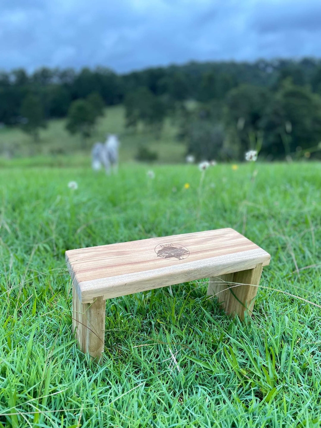 Posture & Meditation Stool Etsy