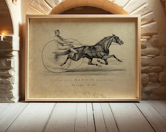 May include: A framed vintage print of a trotting horse and driver. The sepia-toned artwork features a horse in motion pulling a sulky with a driver. The print includes text at the bottom: "Trotting Stallion HANNIS, Record 2:19 1/4."