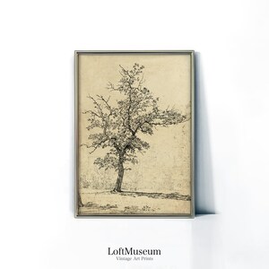 Antique Wall Art • Vintage Tree Print • Farmhouse Decor • Rustic Drawing • Landscape Study • ART PRINTS • S29