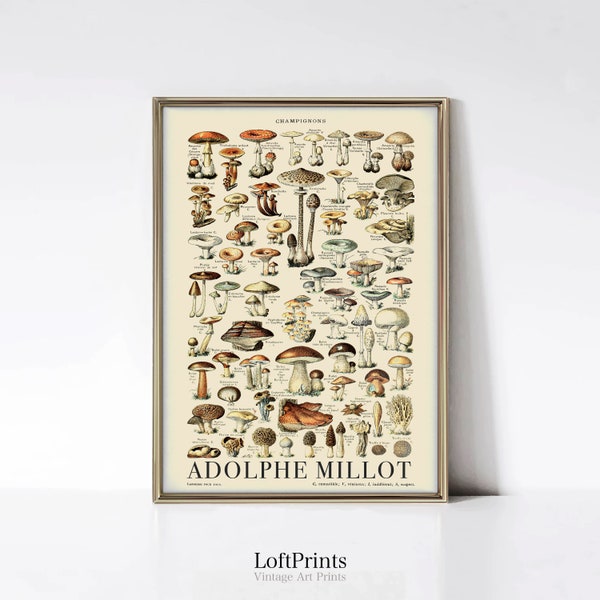 Vintage Mushrooms Print • Kitchen Decor • Larousse Prints • Botanical Poster • Food Wall Art • IL01