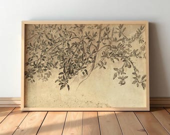 May include: A framed botanical print featuring a sepia-toned illustration of a tree with leaves and fruit. The artwork is set against a light beige background and encased in a natural wood frame, creating a vintage aesthetic.