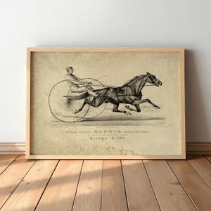 Arte ecuestre vintage: grabado ecuestre, decoración rústica de pared para amantes de los caballos #S24