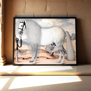 Vintage Renaissance White Horse Art Framed Decor