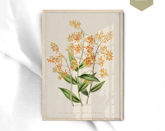BOTANICAL WALL ART - Vintage Floral Decor
