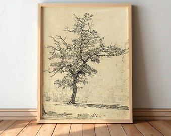 Muurkunst rustieke boom - vintage natuurtekening, antieke landschapsschetsprint #S29