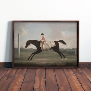 FRAMED HORSE ART - Equestrian Farmhouse Decor