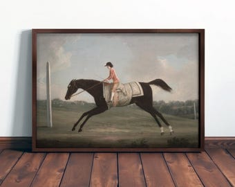FRAMED HORSE ART - Equestrian Farmhouse Decor