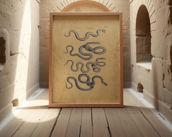 Vintage Snake Print: Gothic Wall Art, Dark Academia Decor