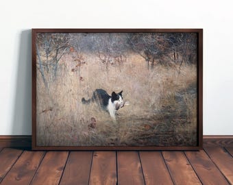 VINTAGE CAT ART - Framed Painting