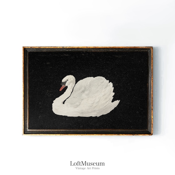 Black Lake Swan • Vintage Swan Painting • Antique Swan Print• Oil Painting Farmhouse Animal Art • MAILED ART PRINT • A04