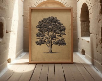 Minimalist Tree Art - Vintage Farmhouse Wall Decor for Living Room or Entryway #S42