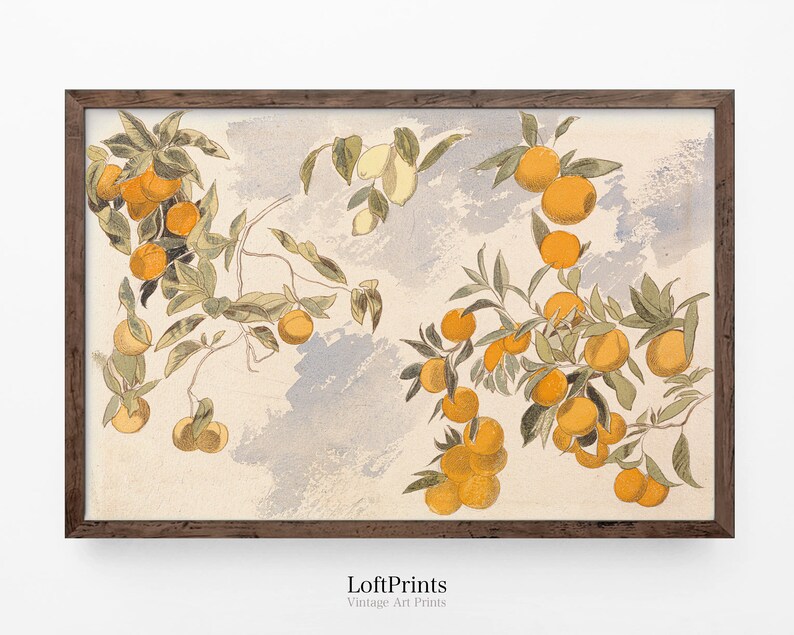 Clementine Painting Unframed Watercolor Print Gallery Wall Etsy