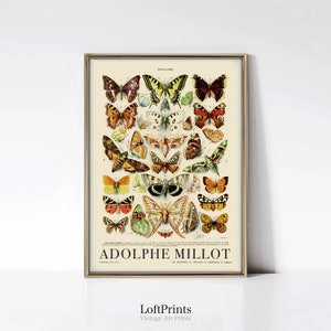 Vintage Butterfly Print • Adolphe Millot Poster • Papillon Wall Art • Butterfly Decor • Vintage Art Print • IL07