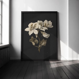 PELANGONIUM ART PRINT - Framed Botanical Decor