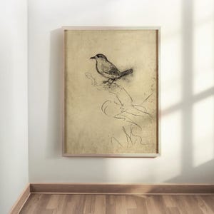 ARTE DE PÁJAROS VINTAGE - Decoración minimalista con grabados