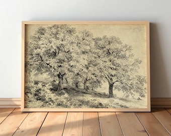 Vintage Tree Sketch Art – Rustic Forest Drawing Print, Neutral Nature Wall Decor for Home #S26