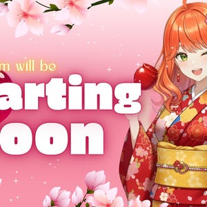 Custom Animated Twitch Stream Screen | Starting Soon, BRB, Ending