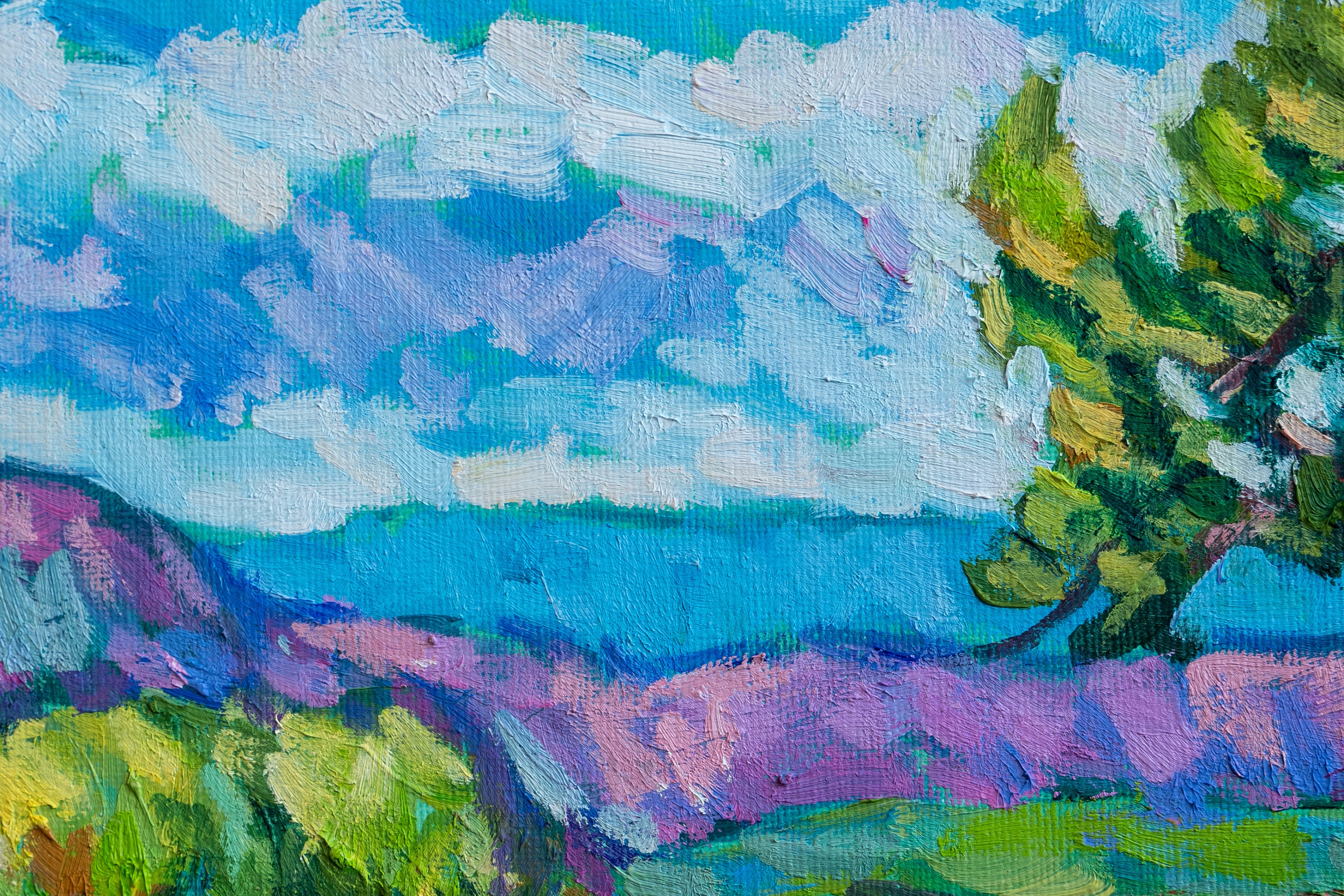 Arizona Canyon Landscape Painting Impressionist Painting Original Oil