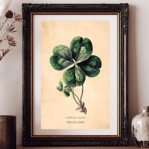 Four Leaf Clover Print | Lucky Trifolium Art | Vintage Botanical Illustration | Celtic Decor | Good Fortune Wall Art | Cottagecore Gift