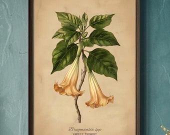 Angel's Trumpet Poison Plant Illustration Fine Art Matte Print | Gothic Vintage Style Botanical Art |Dark Academia Wall Decor Brugmansia spp