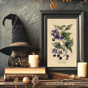 May include: A black witch's hat with a gold trim sits on old books, beside a framed botanical print of Deadly Nightshade. The print shows purple flowers and black berries. Lit candles and decorative items complete the Halloween display.