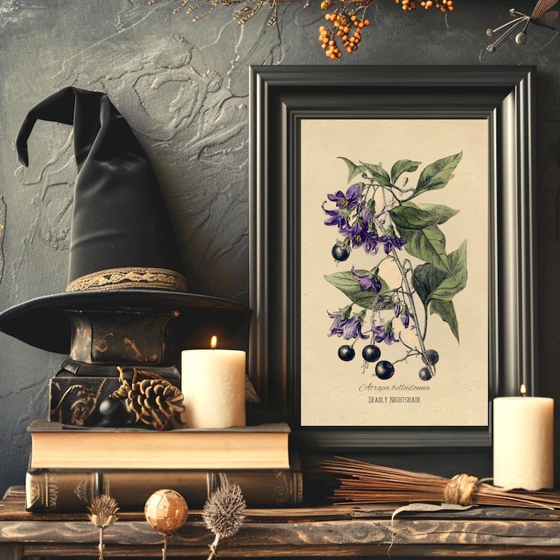 May include: A black witch's hat with a gold trim sits on old books, beside a framed botanical print of Deadly Nightshade. The print shows purple flowers and black berries. Lit candles and decorative items complete the Halloween display.