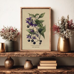 May include: A framed botanical print of Deadly Nightshade, with a detailed illustration of purple flowers, green leaves, and black berries. The print has a vintage aesthetic.