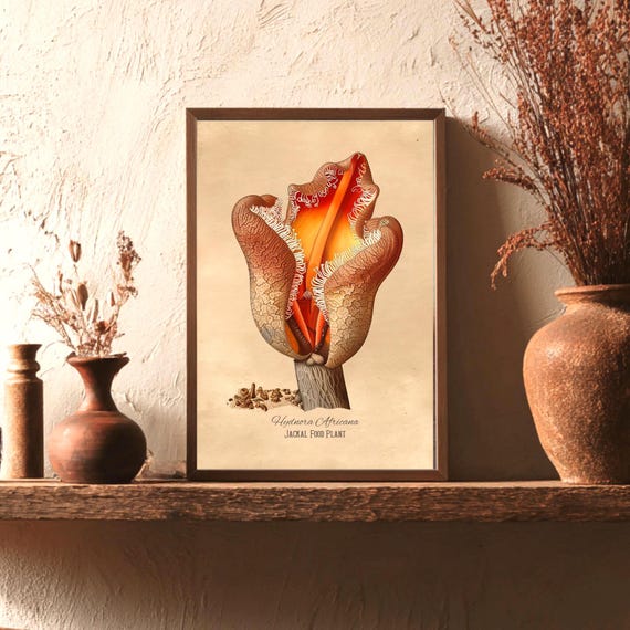 Jackal Food Plant Print | Hydnora Africana Art | Alien Botanical