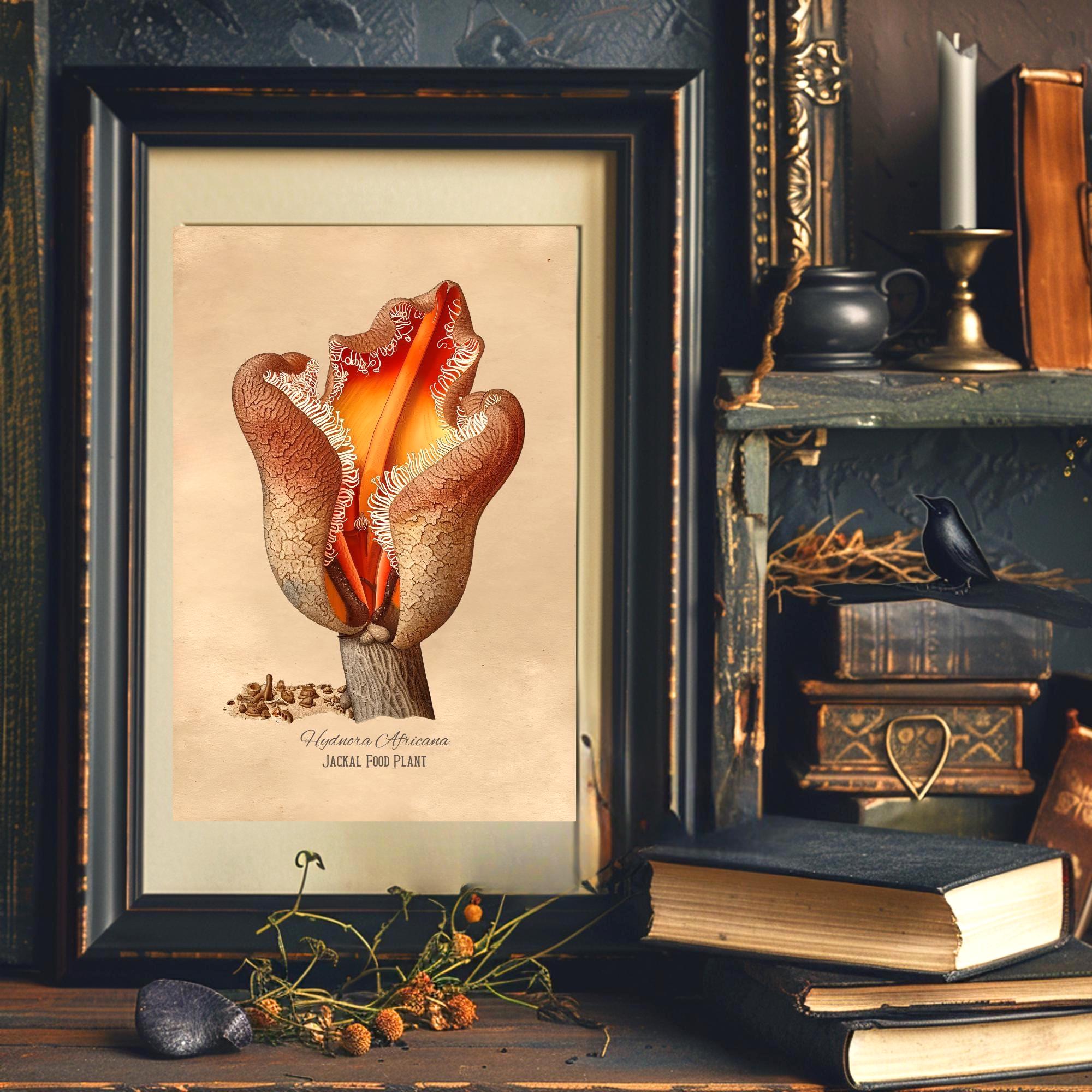 Jackal Food Plant Print | Hydnora Africana Art | Alien Botanical