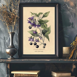 May include: A framed botanical print of Deadly Nightshade, showing purple flowers, green leaves, and black berries. The print has a vintage style, with the scientific and common names below the illustration. The frame is black.
