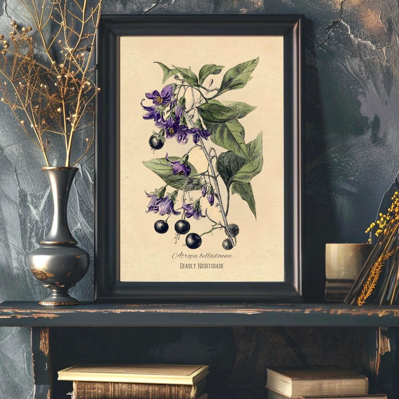 May include: A framed botanical print of Deadly Nightshade, showing purple flowers, green leaves, and black berries. The print has a vintage style, with the scientific and common names below the illustration. The frame is black.