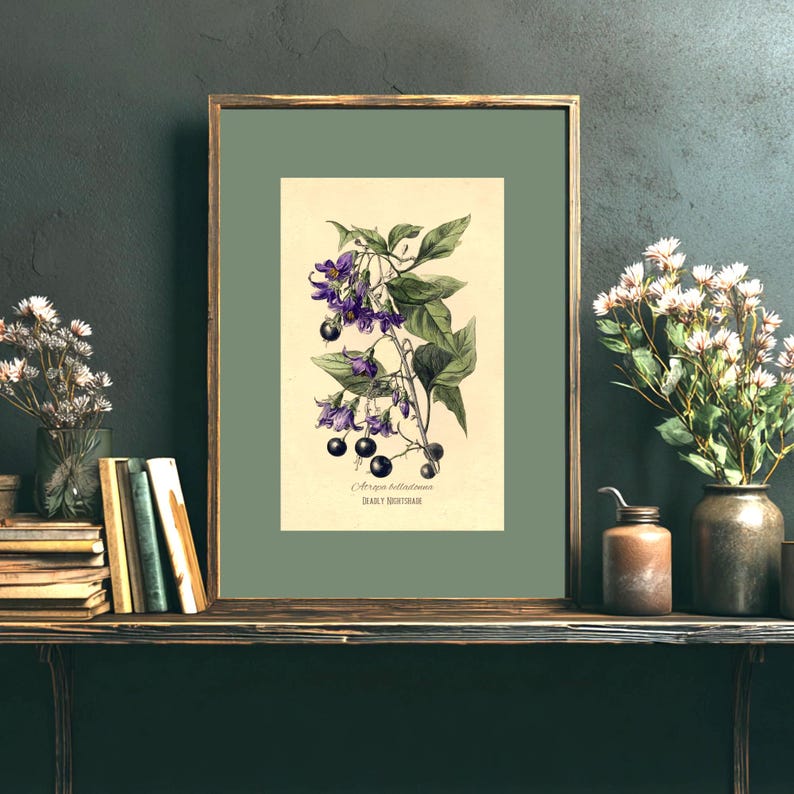 May include: A framed botanical print depicting a detailed illustration of a plant with purple flowers and black berries. The print is set against a cream background and framed in a gold-coloured frame. The text "Solanum belladonna" and "DEADLY NIGHTSHADE" are visible.