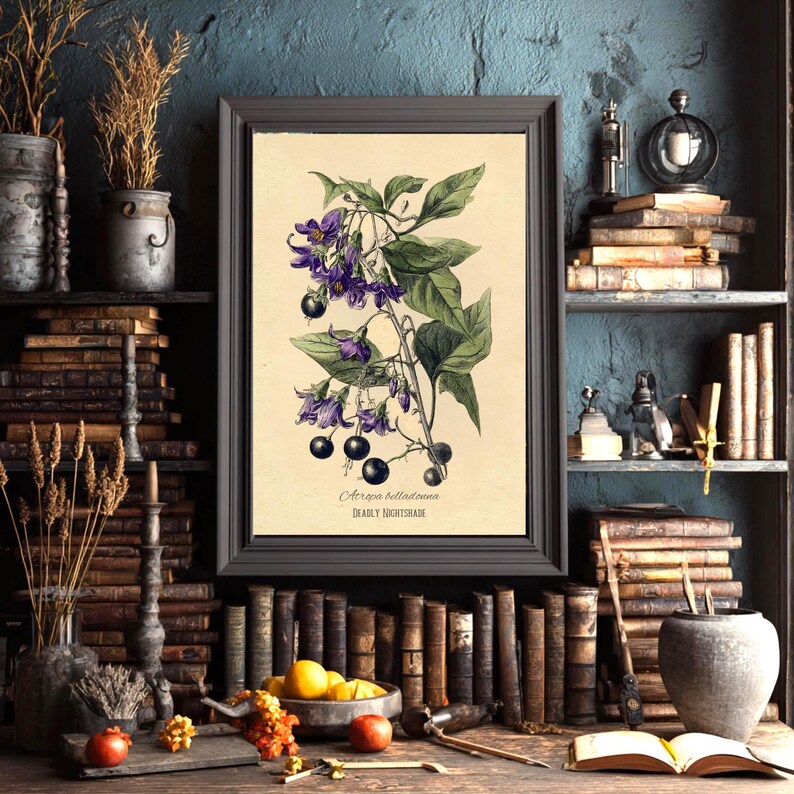 May include: A framed botanical print depicting Deadly Nightshade. The artwork shows purple bell-shaped flowers, green leaves, and black berries. The print is set against a cream background and framed in a dark grey frame. The text 'Deadly Nightshade' is visible.