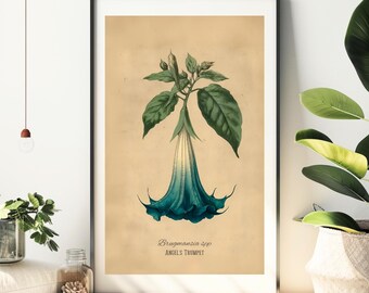 Blue Angel's Trumpet Poison Plant Illustration Fine Art Matte