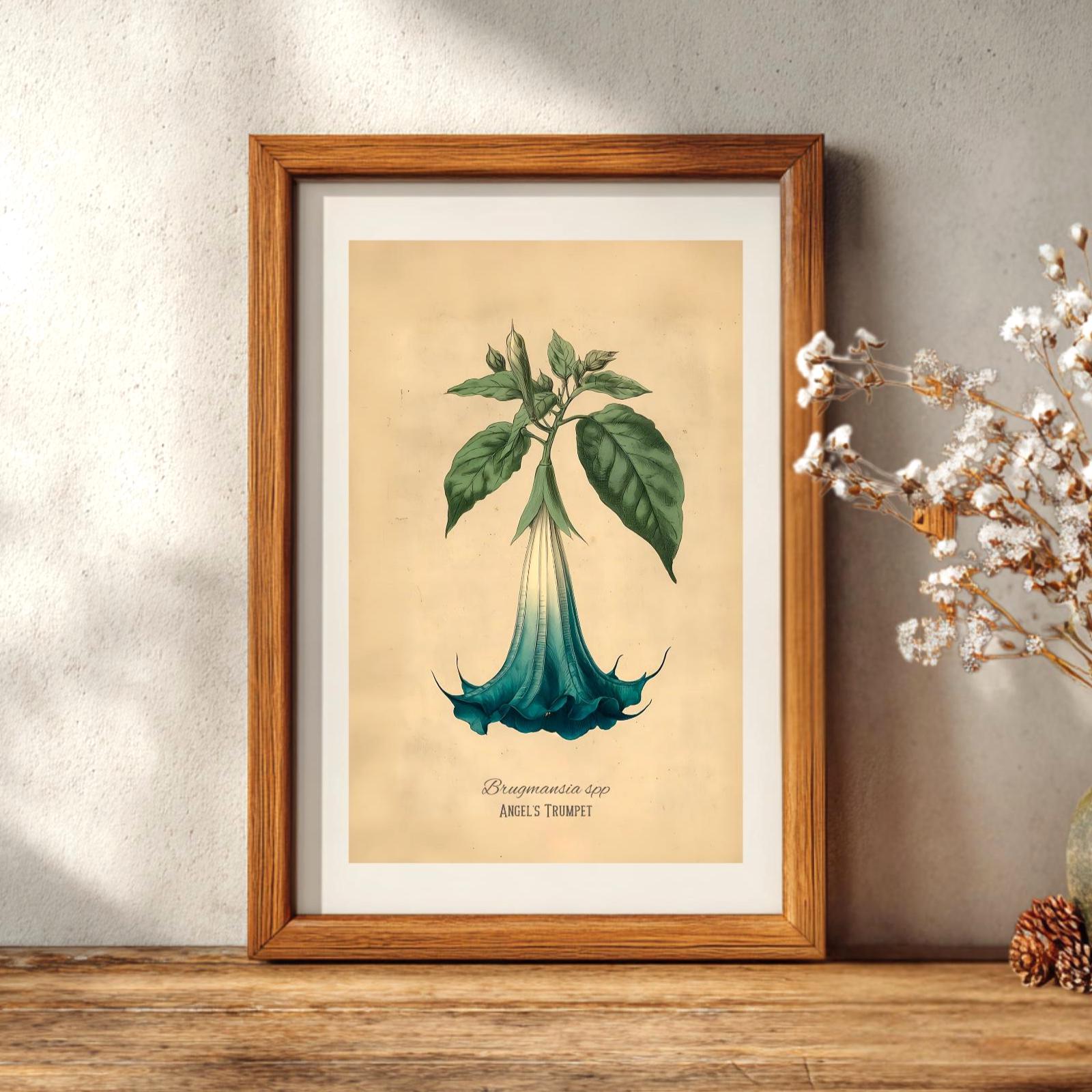 Blue Angel's Trumpet Poison Plant Illustration Fine Art Matte