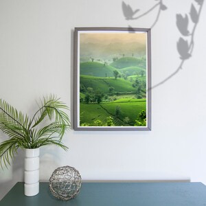 Stay Natural Wall Art - Tropical Wall Art -  Digital Downloads - Gallery Wall Art - Island Heaven Wall Art - Modern Minimalist Wall art