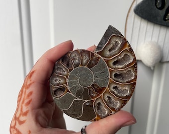 May include: A polished ammonite fossil specimen featuring a spiral shell structure with exposed chambers filled with sparkling, translucent crystalline formations. The fossil displays earthy tones of brown, grey, and amber throughout its surface.
