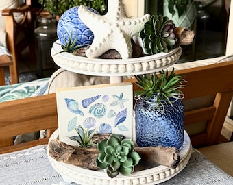 Coastal Decor Set Starfish Shell Succulent Accents Beach House Farmhouse Tabletop Display